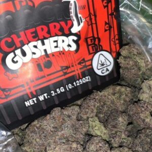 Buy Black Cherry Gushers Uk