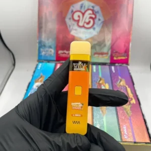 V5 Disposable (2g)